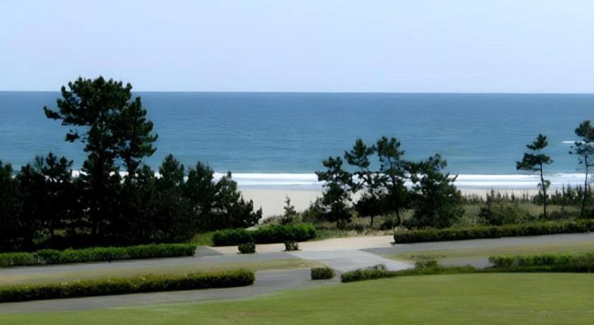 Nest West Garden Tosa Hotel Сіманто Екстер'єр фото